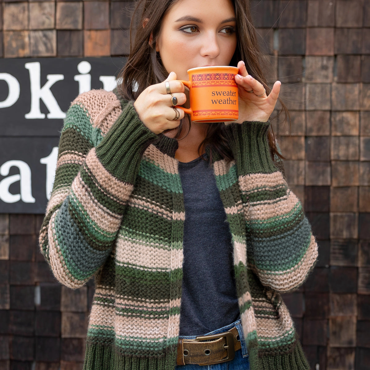Inez Cardi Chunky Sweater - Waxed Loden Stripe | Wooden Ships