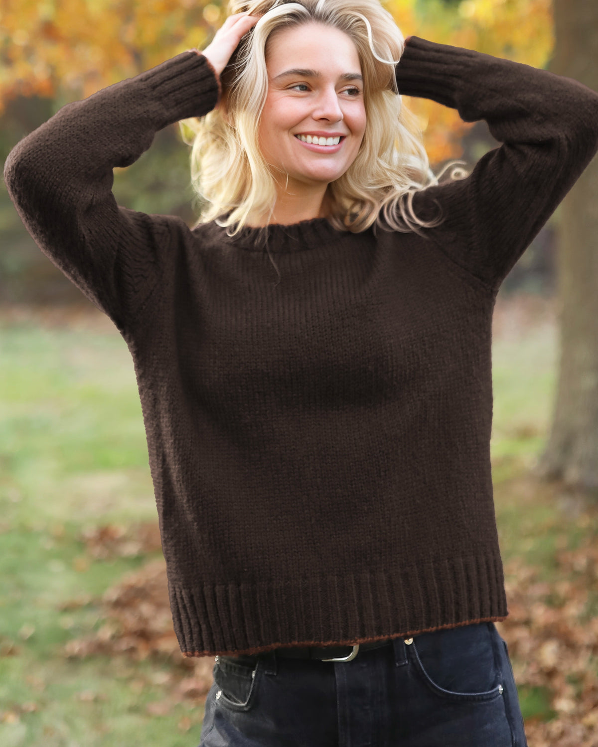 brown-brick-chestnut