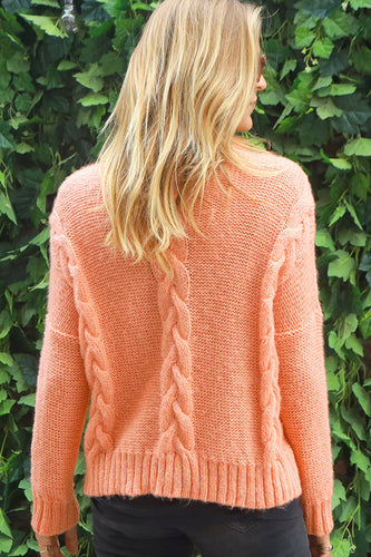carrot