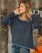 raven-gray-scandia-blue