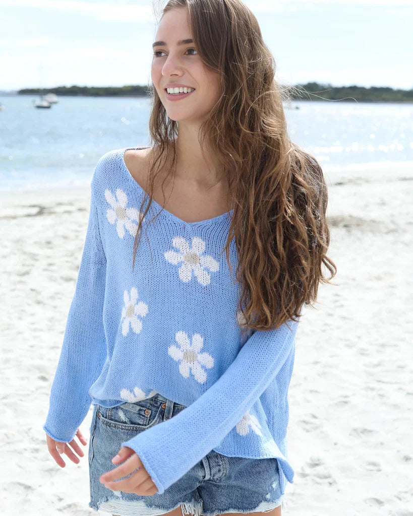 beach-sky