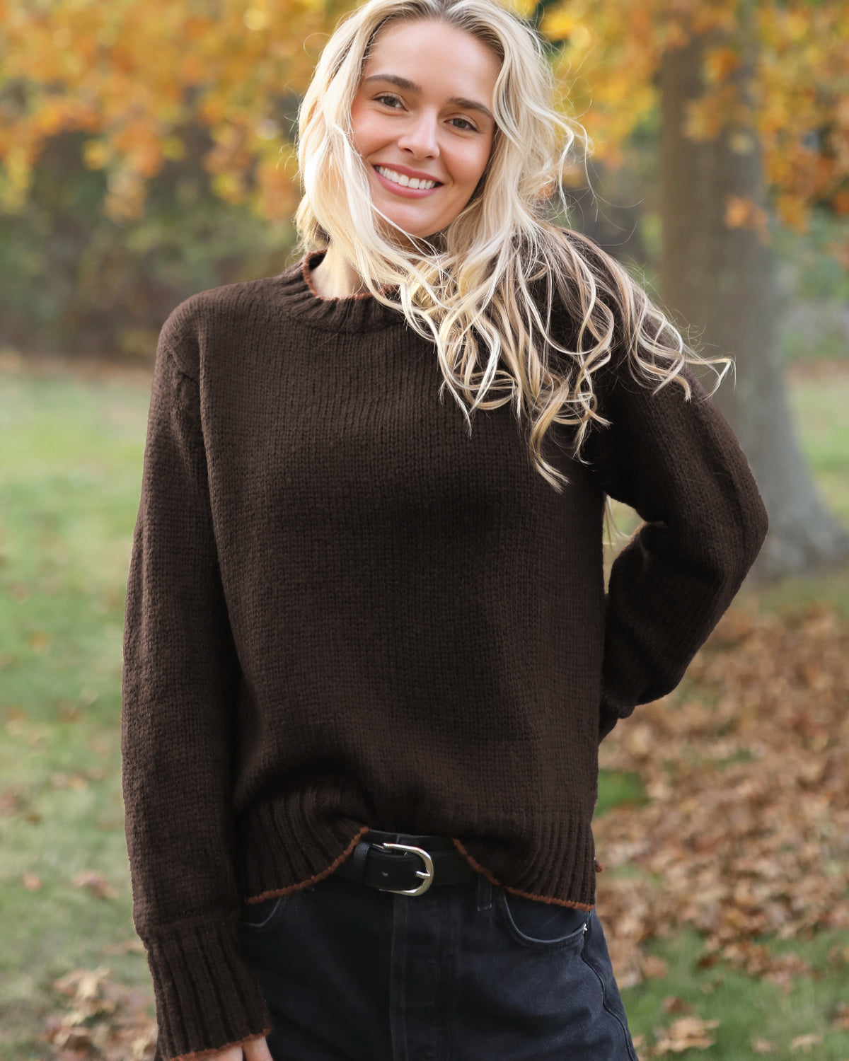 brown-brick-chestnut
